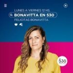 Bonavitta en la 530 | En el caso del RIGI el Estado cede su soberanía y no puede modificarlo por 30 años